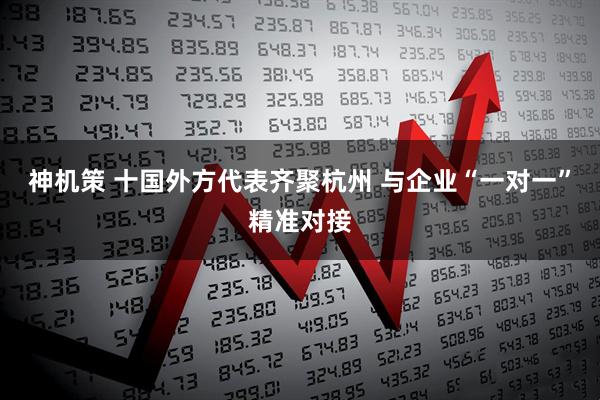 神机策 十国外方代表齐聚杭州 与企业“一对一”精准对接