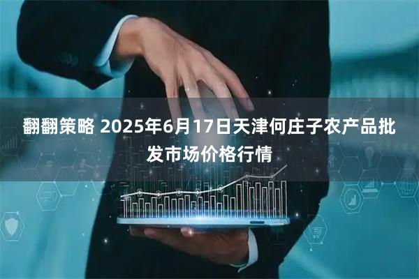 翻翻策略 2025年6月17日天津何庄子农产品批发市场价格行情