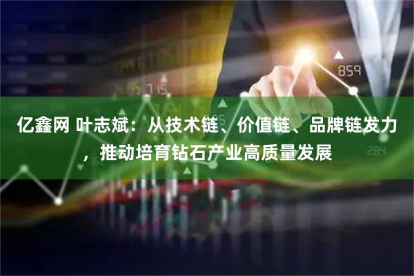 亿鑫网 叶志斌：从技术链、价值链、品牌链发力，推动培育钻石产业高质量发展