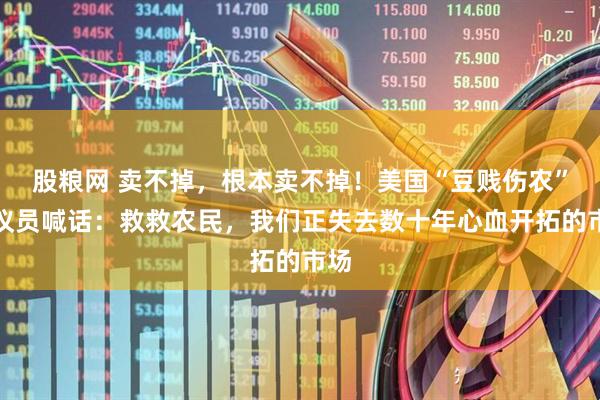 股粮网 卖不掉，根本卖不掉！美国“豆贱伤农”，议员喊话：救救农民，我们正失去数十年心血开拓的市场
