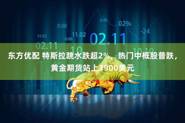 东方优配 特斯拉跳水跌超2%，热门中概股普跌，黄金期货站上3900美元
