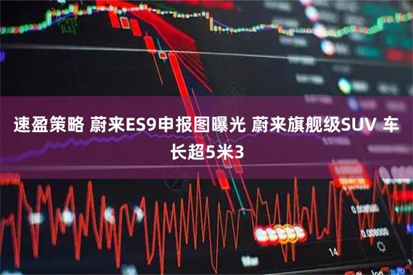 速盈策略 蔚来ES9申报图曝光 蔚来旗舰级SUV 车长超5米3