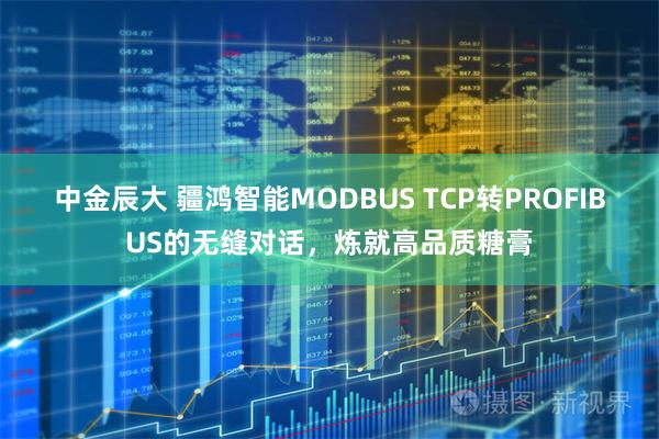 中金辰大 疆鸿智能MODBUS TCP转PROFIBUS的无缝对话，炼就高品质糖膏