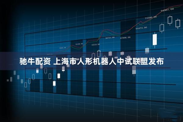 驰牛配资 上海市人形机器人中试联盟发布