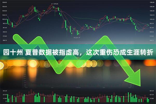 园十州 夏普数据被指虚高，这次重伤恐成生涯转折